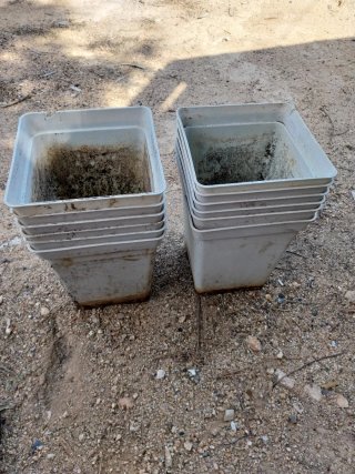 Macetas o tiestos