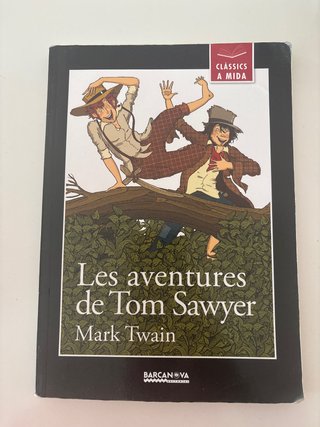 Les aventures de Tom Sawyer