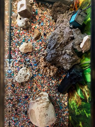 Acuario Pecera Negro con Decoración