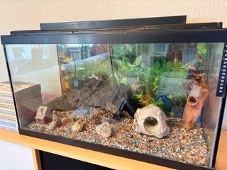 Acuario Pecera Negro con Decoración