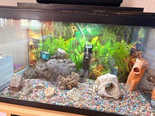 Acuario Pecera Negro con Decoración