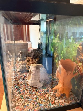 Acuario Pecera Negro con Decoración