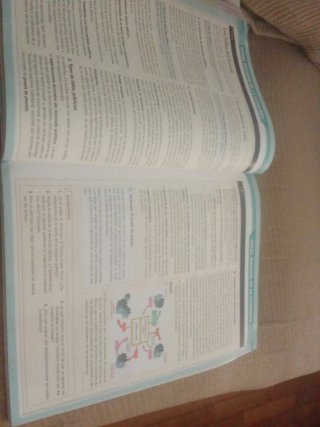 Economía 1.o Bachillerato