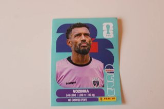 Cartas Panini Mundial 2026