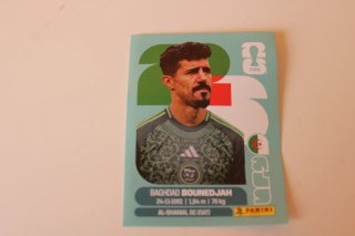 Cartas Panini Mundial 2026