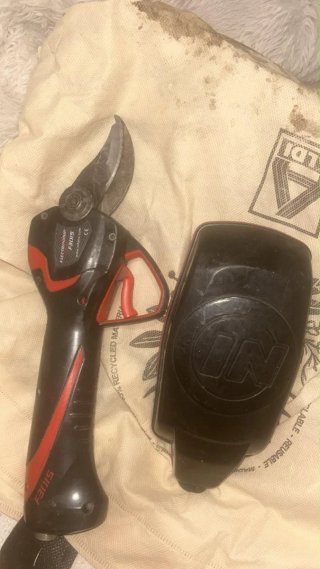 Tijeras de podar eléctricas