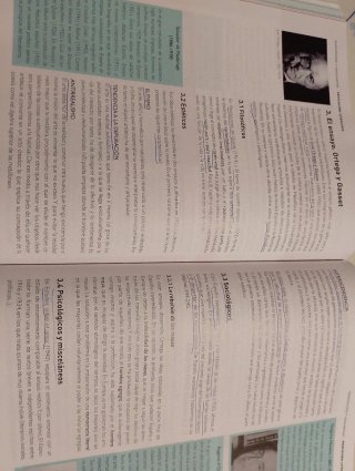 Lengua castellana y literatura 2, Le Bachillerato