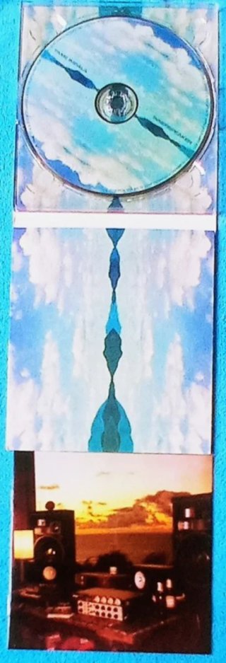 TAME IMPALA  Innerspeaker CD