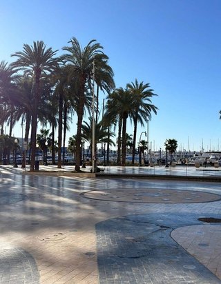 Piso en alquiler en Casco Antiguo - Santa Cruz en Alicante