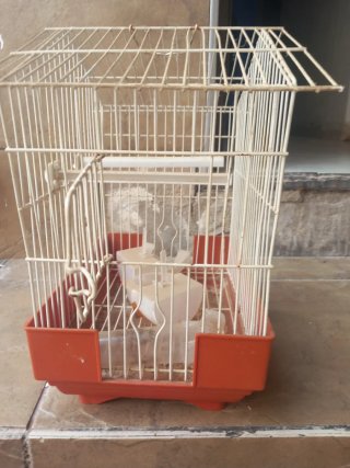 Jaula para pájaros beige y naranja