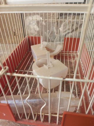 Jaula para pájaros beige y naranja