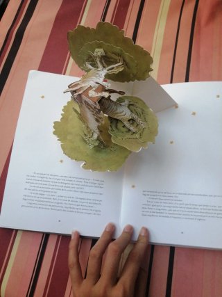 El petit princep. Libro Pop Up (3D)