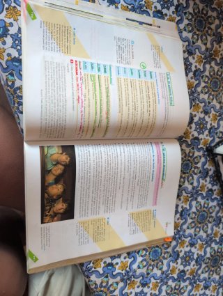 Lengua y Literatura 1.