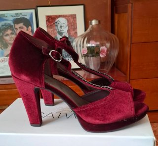 Zapatos de terciopelo