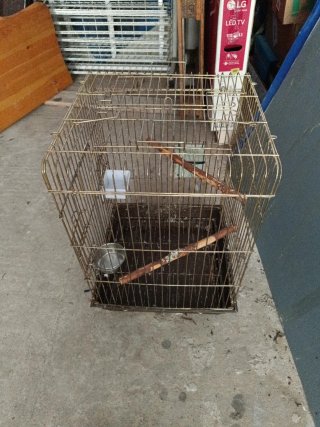 Jaula para loro