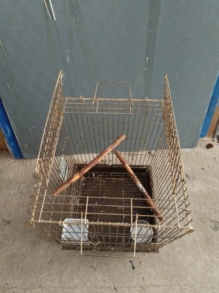 Jaula para loro