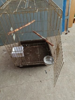 Jaula para loro