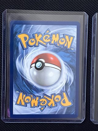 Pokemon TCG Primer Compañero Serie 3 Hoenn