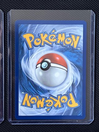 Pokemon TCG Primer Compañero Serie 3 Hoenn