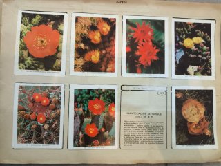 Album de cromos año 1967 Geo-Ciencias