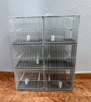 Jaula para cría de pájaros o individual 6 comparti