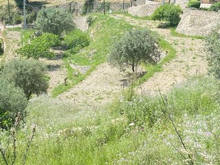 Terreno en venta en Puigpunyent