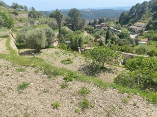 Terreno en venta en Puigpunyent