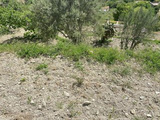 Terreno en venta en Puigpunyent