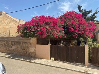 Terreno en venta en Salines (Ses)