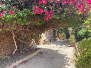 Terreno en venta en Salines (Ses)