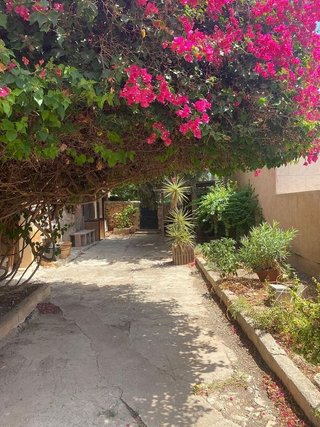 Terreno en venta en Salines (Ses)