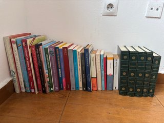 Lote de libros