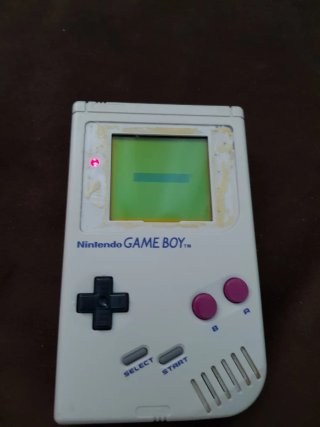 Nintendo Game Boy Rosa y Blanca