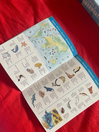 Fantástico Puzzle Mapa Mundi 100 Piezas Djeco