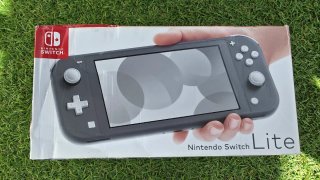Nintendo Switch Lite Gris