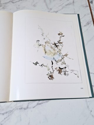 Libro Treccani Opere Scelte Galleria Ferrari