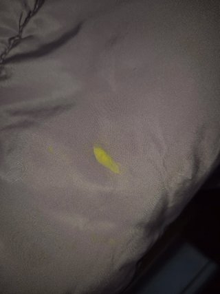 Cazadora acolchada lila Mango Talla M