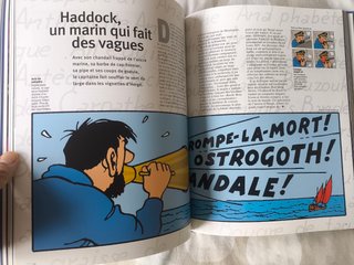 Tintin. Gran viajero. Edición especial colecc.