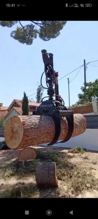 Jardinero especialista en tala de grandes árboles