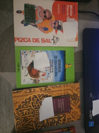 Lote de libros infantiles