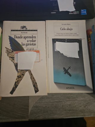 Lote de libros infantiles