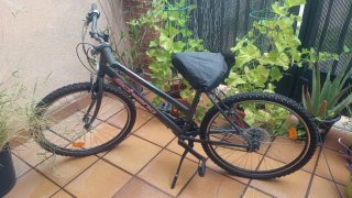 Bicicleta Schiano / Mujer