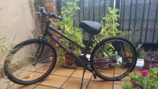 Bicicleta Schiano / Mujer