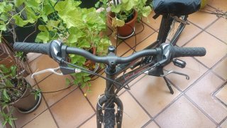 Bicicleta Schiano / Mujer