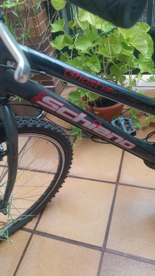 Bicicleta Schiano / Mujer