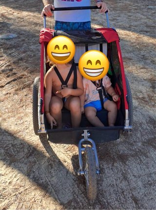Carro remolque para bicicleta 2 niños
