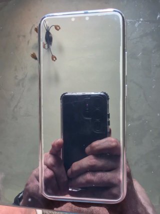 Honor Magic 8 Pro Plata