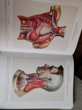 ATLAS OF HUMAN ANATOMY AND SUGERY 0111203