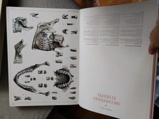 ATLAS OF HUMAN ANATOMY AND SUGERY 0111203