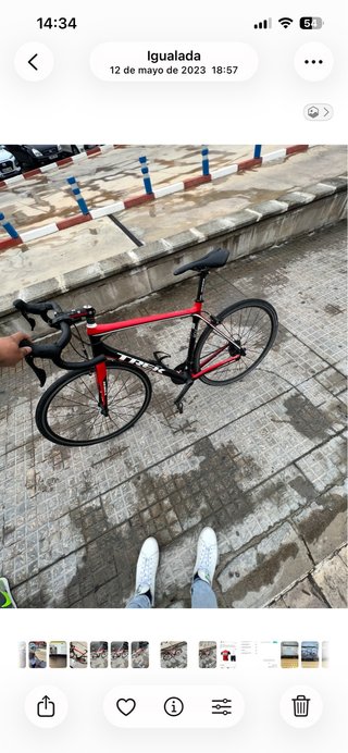 Trek Madone 3.5 Carbono Talla 56 Ultegra